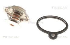 Termostat, chladivo TRISCAN 8620 10088