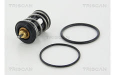 Termostat, chladivo TRISCAN 8620 465105