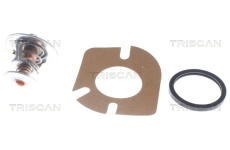 Termostat, chladivo TRISCAN 8620 8288