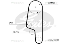 Ozubený řemen TRISCAN 8645 5428XS