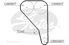 Ozubený řemen TRISCAN 8645 5433XS