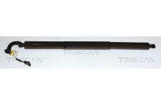 Pneumatická pružina, zavazadlový / nákladový prostor TRISCAN 8710 11373