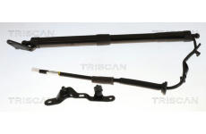 Pneumatická pružina, zavazadlový / nákladový prostor TRISCAN 8710 13306