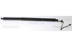 Pneumaticka pruzina, zavazadlovy / nakladovy prostor TRISCAN 8710 20301