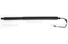 Pneumatická pružina, zavazadlový / nákladový prostor TRISCAN 8710 24302