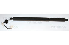 Pneumatická pružina, zavazadlový / nákladový prostor TRISCAN 8710 25304