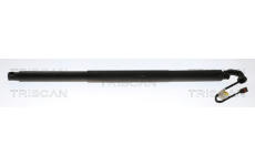 Pneumaticka pruzina, zavazadlovy / nakladovy prostor TRISCAN 8710 29307