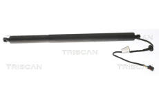 Pneumaticka pruzina, zavazadlovy / nakladovy prostor TRISCAN 8710 43301