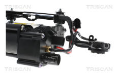 Kompresor, pneumatický systém TRISCAN 8725 11105