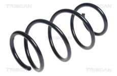 Pružina podvozku TRISCAN 8750 11193