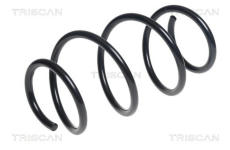 Pružina podvozku TRISCAN 8750 11194