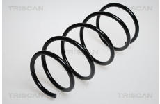 Pružina podvozku TRISCAN 8750 1121