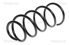 Pružina podvozku TRISCAN 8750 1197
