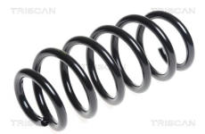 Pružina podvozku TRISCAN 8750 13173
