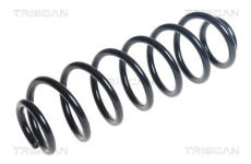 Pružina podvozku TRISCAN 8750 16156