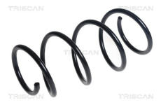 Pružina podvozku TRISCAN 8750 23196