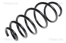 Pružina podvozku TRISCAN 8750 24175