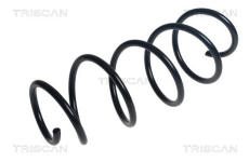 Pružina podvozku TRISCAN 8750 24220