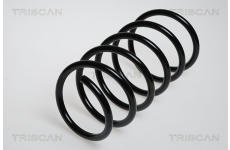 Pružina podvozku TRISCAN 8750 2518