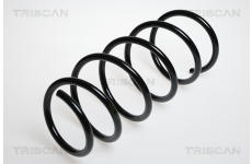 Pružina podvozku TRISCAN 8750 2520