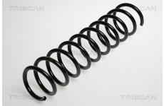 Pružina podvozku TRISCAN 8750 2750