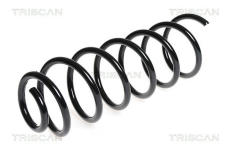 Pružina podvozku TRISCAN 8750 28135