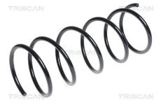 Pružina podvozku TRISCAN 8750 28175