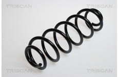 Pružina podvozku TRISCAN 8750 2876