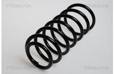 Pružina podvozku TRISCAN 8750 29019