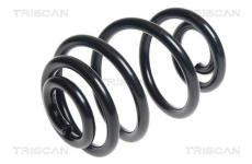 Pružina podvozku TRISCAN 8750 29214