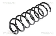 Pružina podvozku TRISCAN 8750 2987