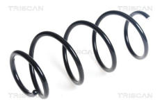 Pružina podvozku TRISCAN 8750 43141