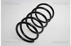 Pružina podvozku TRISCAN 8750 4348