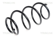 Pružina podvozku TRISCAN 8750 4387