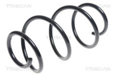 Pružina podvozku TRISCAN 8750 4399