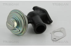 AGR-Ventil TRISCAN 8813 10011