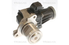 AGR-Ventil TRISCAN 8813 10053