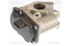 AGR-Ventil TRISCAN 8813 10055