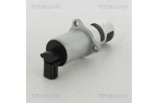 AGR-Ventil TRISCAN 8813 10100