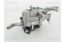 AGR-Ventil TRISCAN 8813 10103