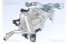 AGR-Ventil TRISCAN 8813 10106