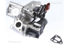 AGR-Ventil TRISCAN 8813 10108