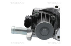 AGR-Ventil TRISCAN 8813 10118