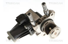 AGR-Ventil TRISCAN 8813 10119
