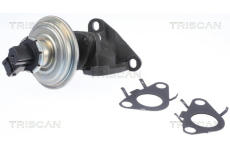 AGR-Ventil TRISCAN 8813 11010