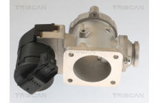 AGR-Ventil TRISCAN 8813 11020