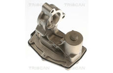 AGR-Ventil TRISCAN 8813 11023
