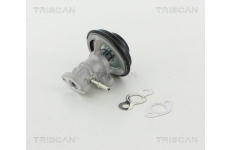 AGR-Ventil TRISCAN 8813 13030