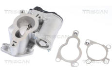 AGR-Ventil TRISCAN 8813 14025