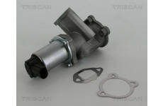 AGR-Ventil TRISCAN 8813 15069